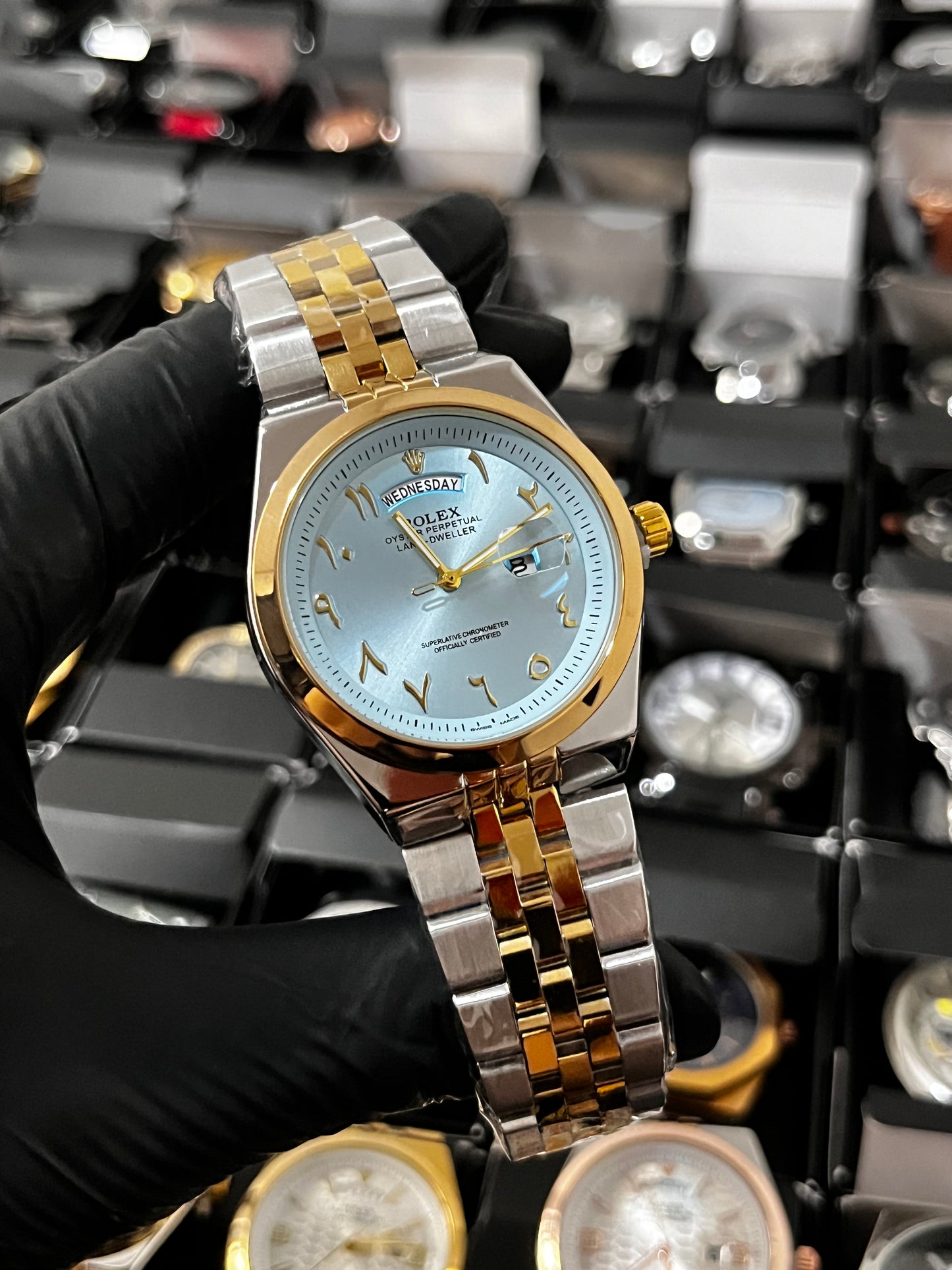 RX LANDWR ARAB / BICOLOR FONDO AZUL CLARO