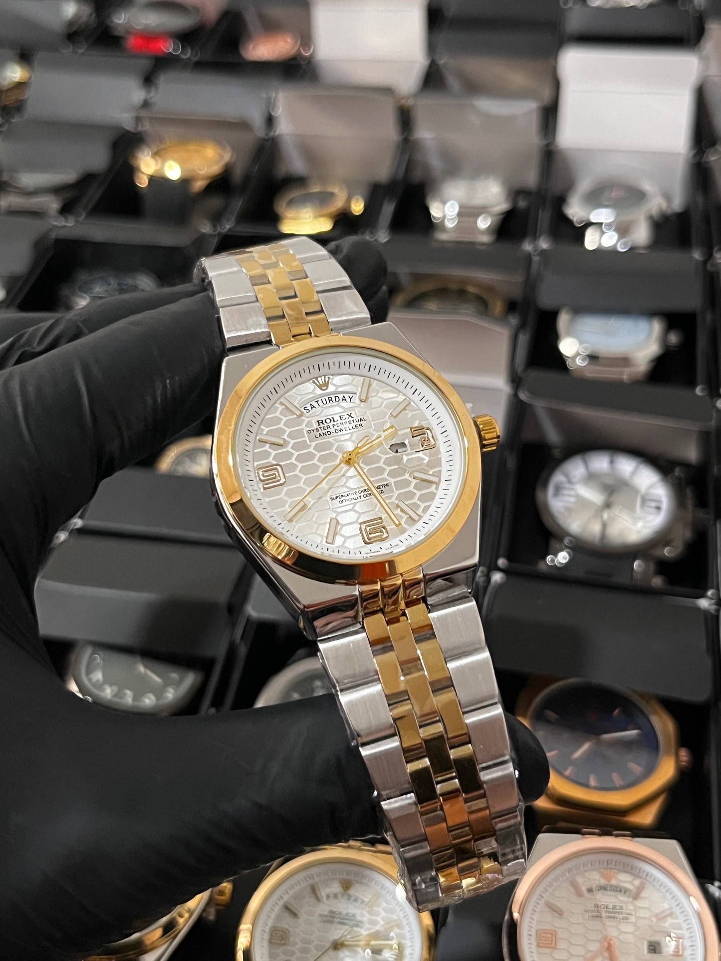 RX LANDWR 963 / BICOLOR FONDO PLATEADO