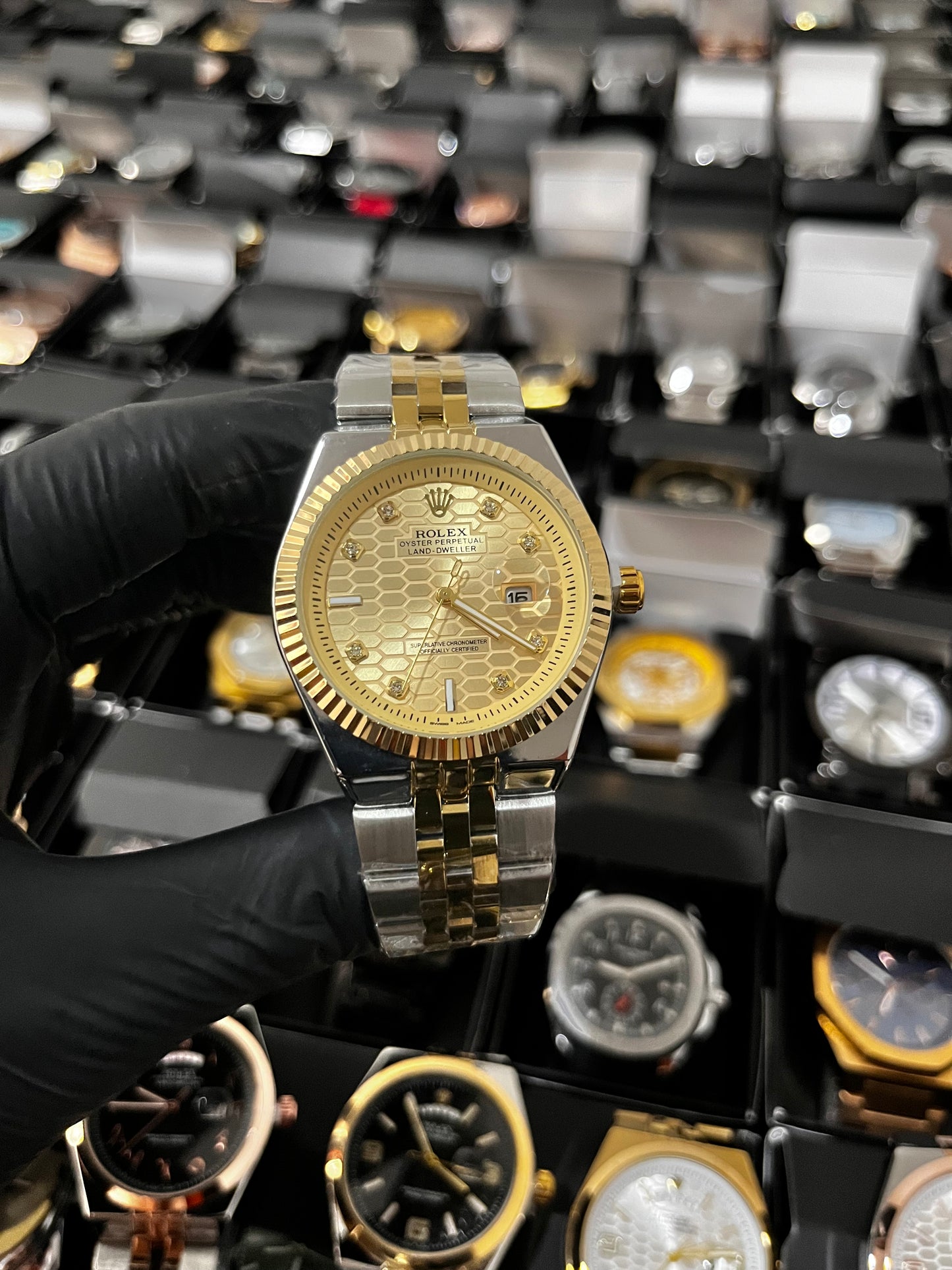 RX LANDWR / BICOLOR FONDO DORADO