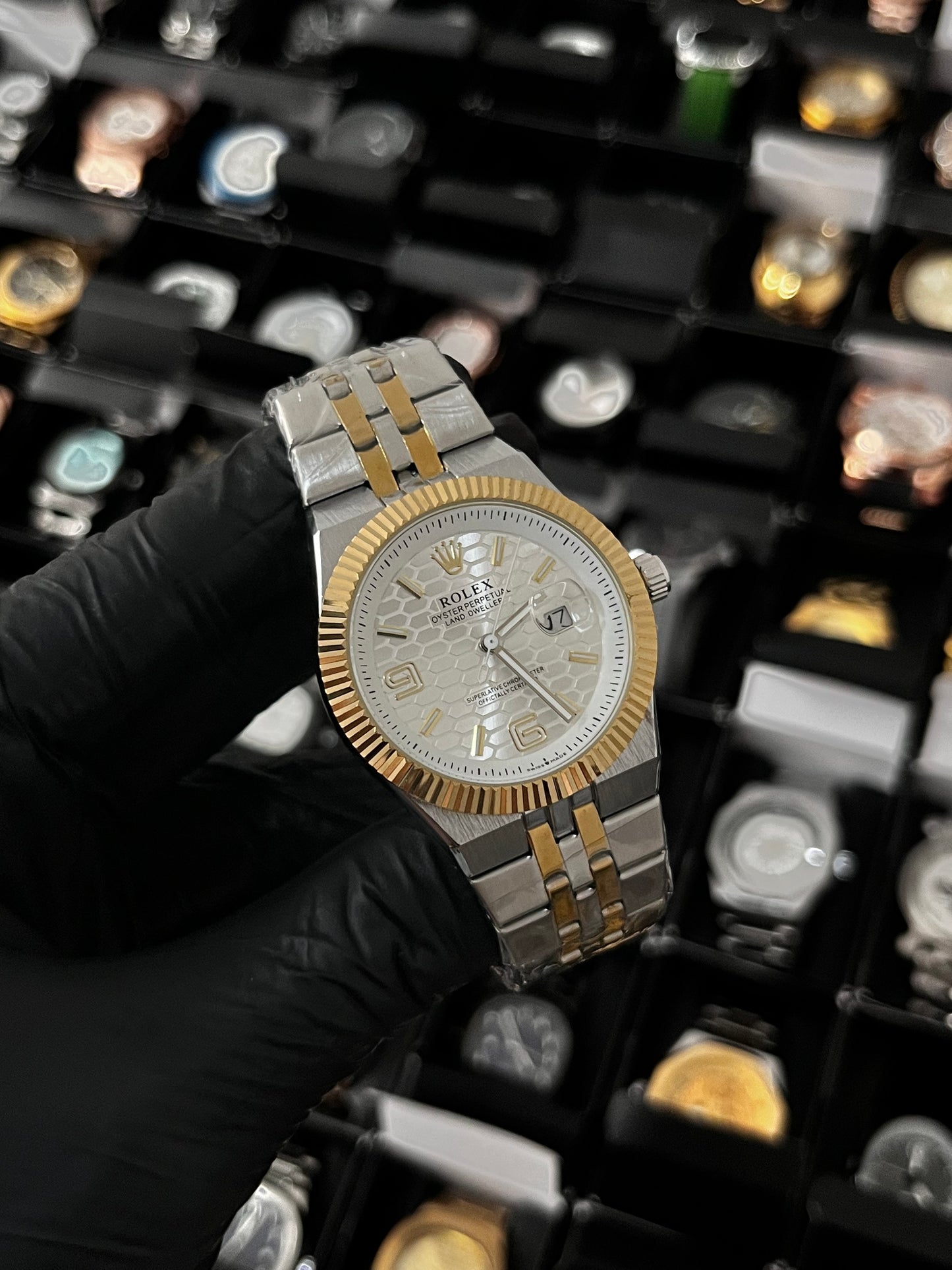 RX LANDWR 963 / BICOLOR FONDO PLATEADO