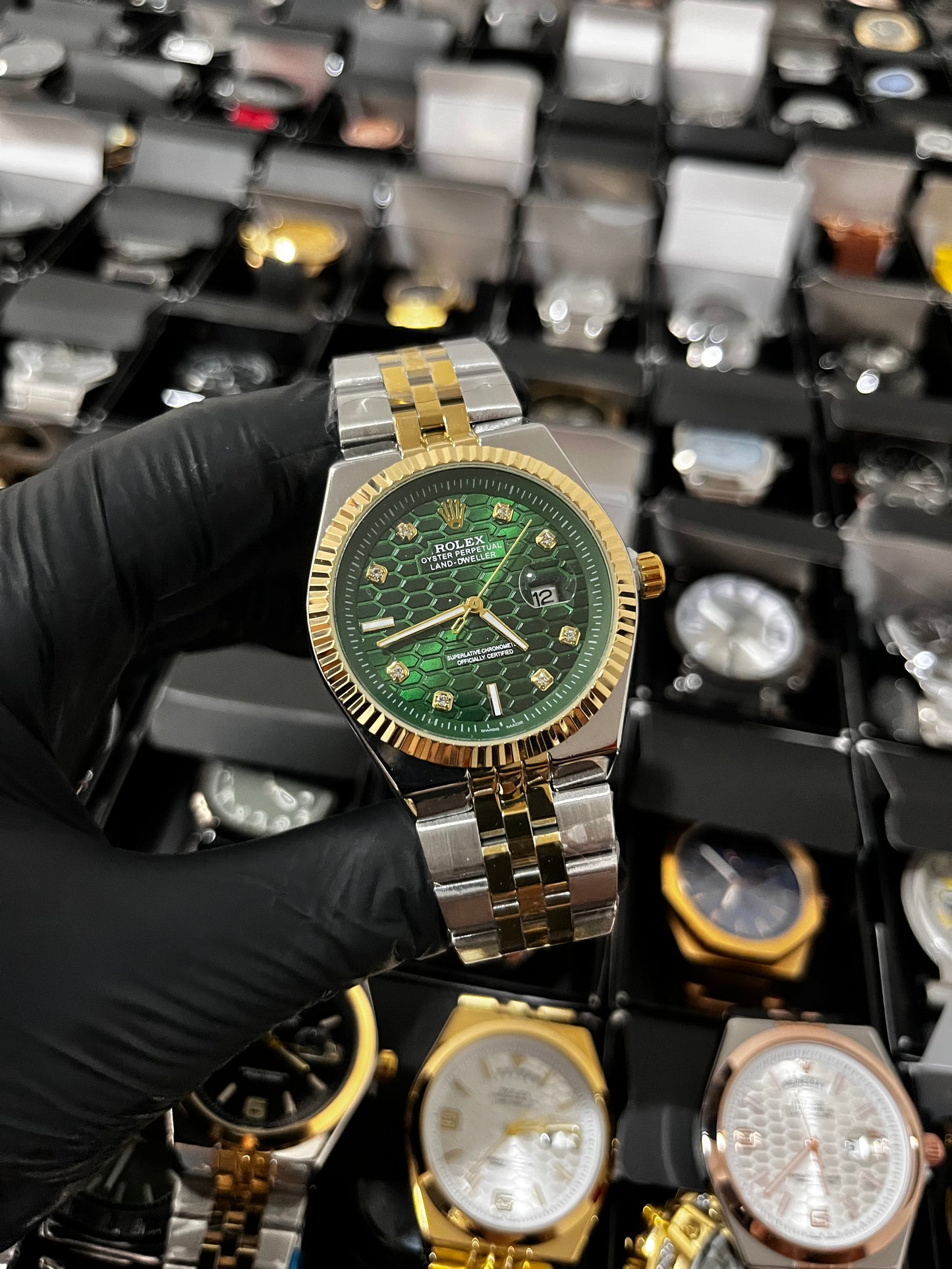 RX LANDWR / BICOLOR FONDO VERDE